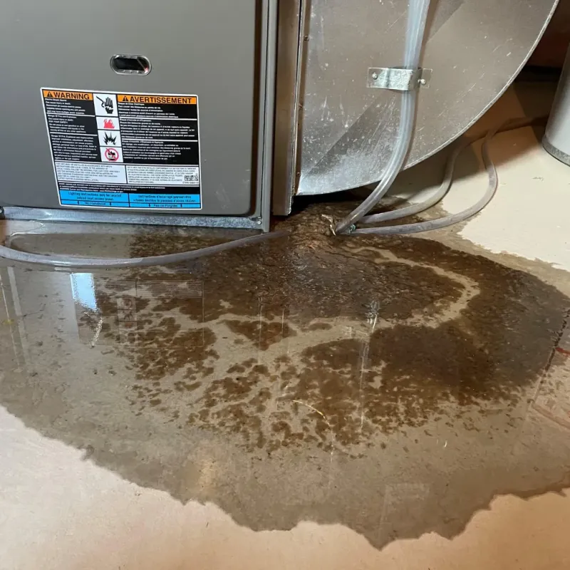 Appliance Leak Cleanup in North Collins, NY